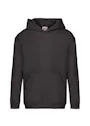 Fruit of The Loom Kids Premium Hooded Sweat miniatuur