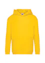 Fruit of The Loom Kids Premium Hooded Sweat miniatuur