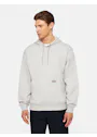 Dickies Regular DK0A4YT6 Fleece Hoodie Regular Fit Apparel miniatuur