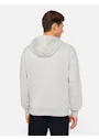 Dickies Regular DK0A4YT6 Fleece Hoodie Regular Fit Apparel miniatuur