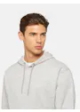 Dickies Regular DK0A4YT6 Fleece Hoodie Regular Fit Apparel miniatuur
