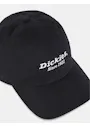 Dickies DK0A4YNN Twill Pet miniatuur