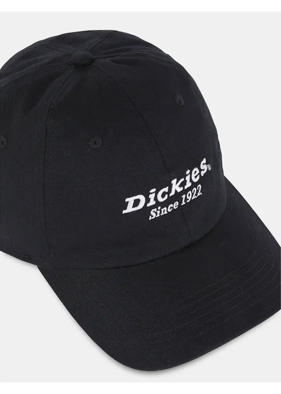 Dickies DK0A4YNN Twill Pet