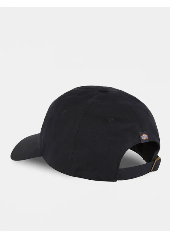 Dickies DK0A4YNN Twill Pet