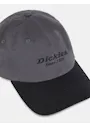 Dickies DK0A4YNN Twill Pet miniatuur