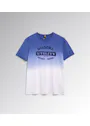 Diadora Deep Dyed 702.179831 T-Shirt Regular Fit miniatuur