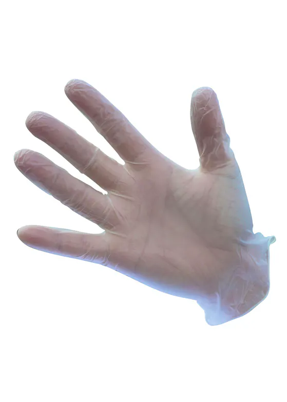 Portwest Powder Free Vinyl Disposable Handschoen(100 st.)