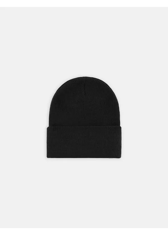 Dickies DK0A4Y63 Gebreide Beanie-Muts
