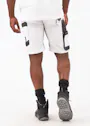 Dassy Axis Schildersshort miniatuur