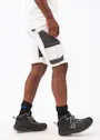 Dassy Axis Schildersshort miniatuur