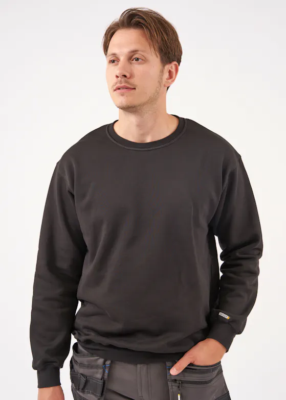 Dassy Lionel 300449 Sweatshirt Regular Fit Classic