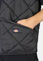 Dickies DK0A4YKV Vest Diamond Quilted Verwarmd Waterafstotend Apparel miniatuur