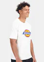 Dickies Icon Logo DK0A4XC9 T-shirt Regular Fit Apparel miniatuur
