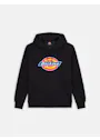 Dickies Icon DK0A4XCB Logo Hoodie Regular Fit Apparel miniatuur