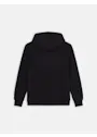 Dickies Icon DK0A4XCB Logo Hoodie Regular Fit Apparel miniatuur
