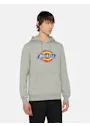 Dickies Icon DK0A4XCB Logo Hoodie Regular Fit Apparel miniatuur