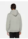 Dickies Icon DK0A4XCB Logo Hoodie Regular Fit Apparel miniatuur