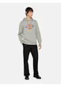 Dickies Icon DK0A4XCB Logo Hoodie Regular Fit Apparel miniatuur
