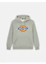 Dickies Icon DK0A4XCB Logo Hoodie Regular Fit Apparel miniatuur