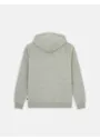 Dickies Icon DK0A4XCB Logo Hoodie Regular Fit Apparel miniatuur