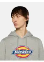 Dickies Icon DK0A4XCB Logo Hoodie Regular Fit Apparel miniatuur
