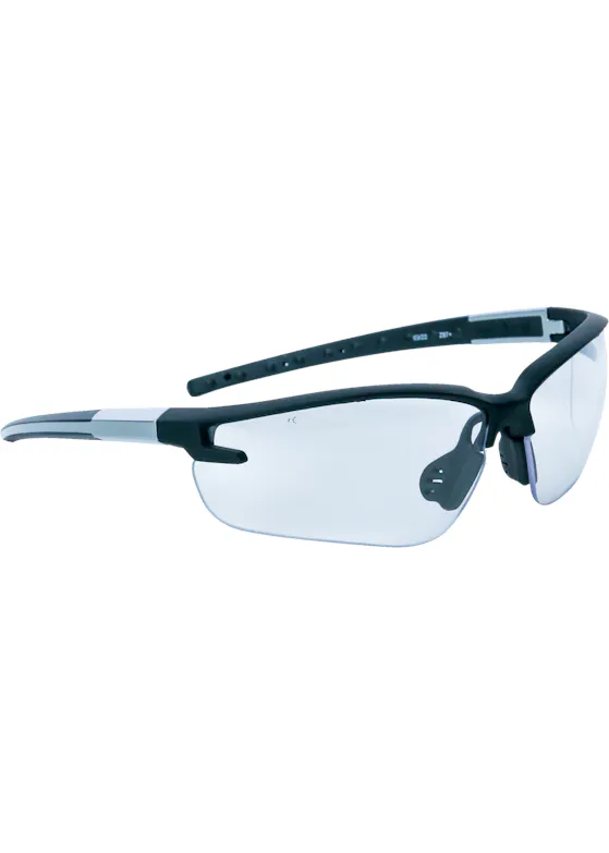 Delta Plus Bril Fuji2