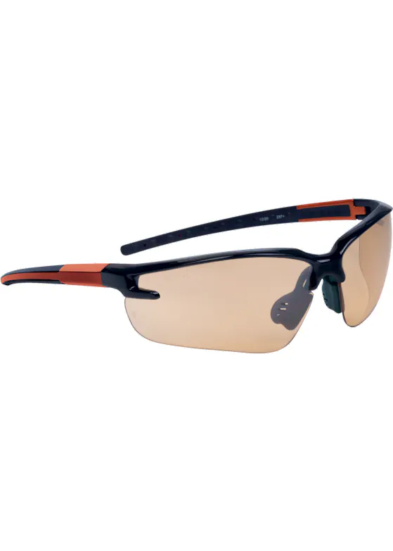 Delta Plus Bril Fuji2
