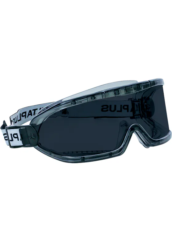 Delta Plus Maskerbril Galeras
