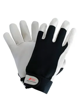 Nitras Safety 8905W // Dexter Winter Handschoen