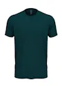 Next Level Apparel 3600 T-shirt Cotton Regular Fit miniatuur