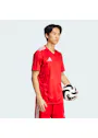adidas Sport Team Icon 25 Jersey Short Sleeve KUI20 miniatuur