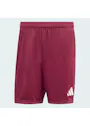 adidas Sport Entrada26 Shorts OO227 miniatuur