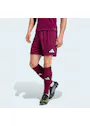adidas Sport Entrada26 Shorts OO227 miniatuur
