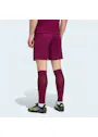 adidas Sport Entrada26 Shorts OO227 miniatuur