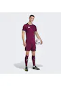 adidas Sport Entrada26 Shorts OO227 miniatuur