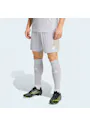 adidas Sport Entrada26 Shorts OO227 miniatuur