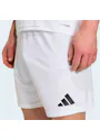 adidas Sport Entrada26 Shorts OO227 miniatuur