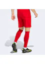 adidas Sport Entrada26 Shorts OO227 miniatuur
