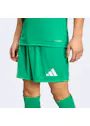 adidas Sport Entrada26 Shorts OO227 miniatuur