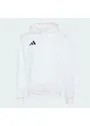 adidas Sport Entrada26 Hoodie QF255 miniatuur