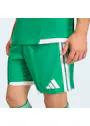 adidas Sport Tiro26 Competition Match Day Shorts QY684 miniatuur