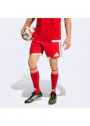 adidas Sport Tiro26 Competition Match Day Shorts QY684 miniatuur