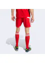 adidas Sport Tiro26 Competition Match Day Shorts QY684 miniatuur