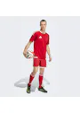 adidas Sport Tiro26 Competition Match Day Shorts QY684 miniatuur