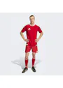 adidas Sport Tiro26 Competition Match Day Shorts QY684 miniatuur