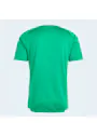 adidas Sport Tiro26 Competition Match Day Jersey DWA89 miniatuur