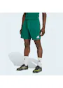 adidas Sport Entrada26 Shorts OO227 miniatuur