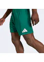 adidas Sport Entrada26 Shorts OO227 miniatuur
