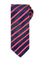 Premier Sports Stripe Tie miniatuur