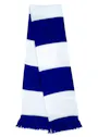Result Team Scarf miniatuur